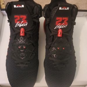 Nike lebron 17's